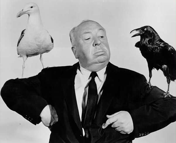 Image result for alfred hitchcock the birds